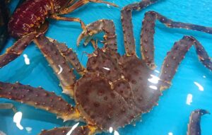 taraba crab